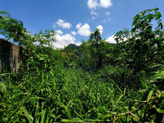 Imagem Terreno à Venda, 300 m² em Jardim Casa Branca - Caraguatatuba Imagem Terreno à Venda, 300 m² em Jardim Casa Branca - Caraguatatuba