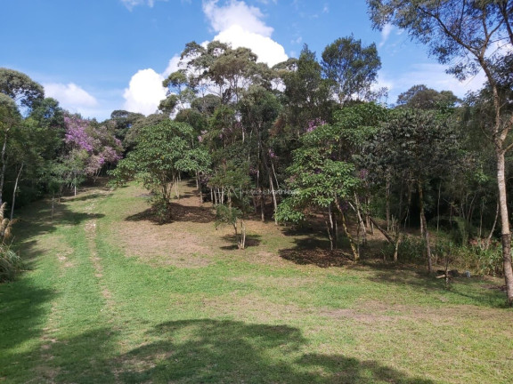 Imagem Fazenda à Venda, 156 m² em Pacotuba - Almirante Tamandaré Imagem Fazenda à Venda, 156 m² em Pacotuba - Almirante Tamandaré