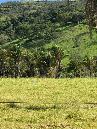 Imagem Fazenda à Venda, 6.050.000 m² em Zona Rural - Cocalzinho De Goiás Imagem Fazenda à Venda, 6.050.000 m² em Zona Rural - Cocalzinho De Goiás