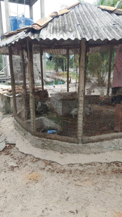 Imagem Fazenda à Venda, 200 m² em Acú Da Torre - Mata De São João Imagem Fazenda à Venda, 200 m² em Acú Da Torre - Mata De São João