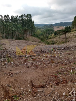 Imagem Fazenda à Venda, 59.000 m² em Alto Cedros - Rio Dos Cedros
