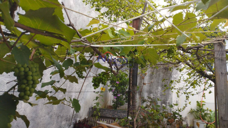 Imagem Casa com 3 Quartos à Venda, 240 m² em Jardim Cumbica - Guarulhos