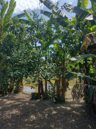 Imagem Fazenda à Venda, em Rio Das Pedras - Paranagua Imagem Fazenda à Venda, em Rio Das Pedras - Paranagua