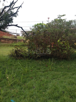 Imagem Casa com 3 Quartos à Venda, 173 m² em Centro - Itapetininga Imagem Casa com 3 Quartos à Venda, 173 m² em Centro - Itapetininga