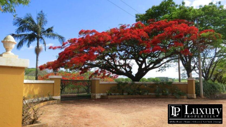 Imagem Chácara com 8 Quartos à Venda, em Centro - Santo Antônio De Posse Imagem Chácara com 8 Quartos à Venda, em Centro - Santo Antônio De Posse
