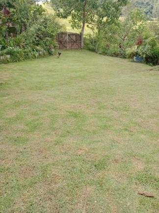 Imagem Chácara com 2 Quartos à Venda, 250 m² em Espírito Santo - Paraibuna Imagem Chácara com 2 Quartos à Venda, 250 m² em Espírito Santo - Paraibuna