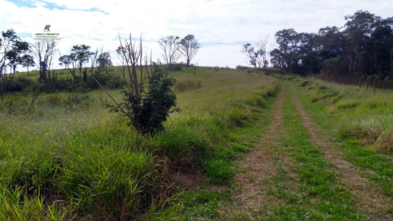 Imagem Terreno à Venda, 235.000 m² em Sorocamirim - São Roque Imagem Terreno à Venda, 235.000 m² em Sorocamirim - São Roque
