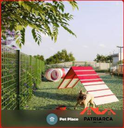 Imagem Apartamento com 2 Quartos à Venda, 53 m² em Vila Pagano - Valinhos Imagem Apartamento com 2 Quartos à Venda, 53 m² em Vila Pagano - Valinhos