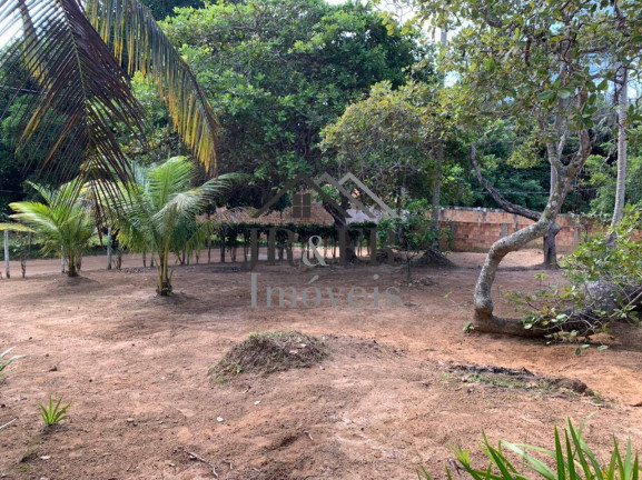 Imagem Chácara com 3 Quartos à Venda, 200 m² em Barra Do Pojuca - Camaçari Imagem Chácara com 3 Quartos à Venda, 200 m² em Barra Do Pojuca - Camaçari