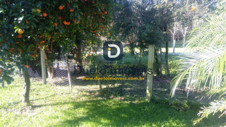 Imagem Chácara com 3 Quartos à Venda, 5 m² em Pinheiro Machado - Santa Maria