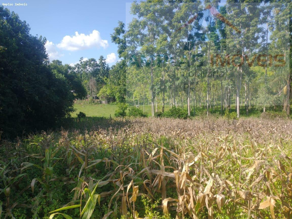 Imagem Imóvel com 2 Quartos à Venda, 15.000 m² em Freitas Serra Azul - Mateus Leme