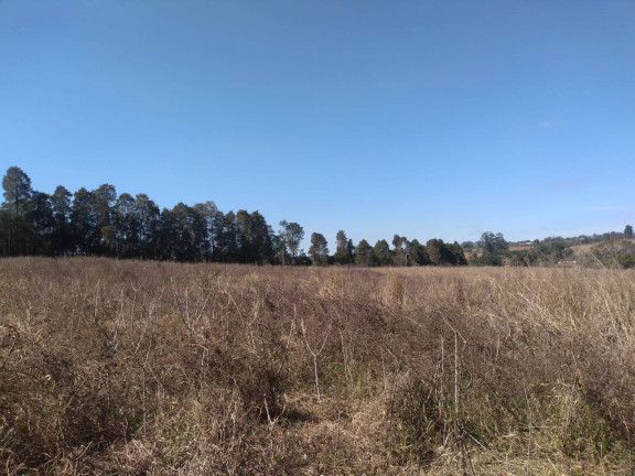 Imagem Chácara com 3 Quartos à Venda, 77.440 m² em Distrito Industrial - Capela Do Alto