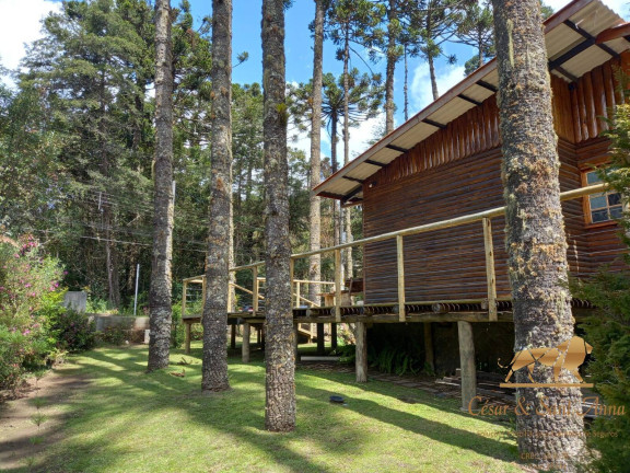 Imagem Imóvel Comercial à Venda, 1.240 m² em Descansópolis - Campos Do Jordão Imagem Imóvel Comercial à Venda, 1.240 m² em Descansópolis - Campos Do Jordão