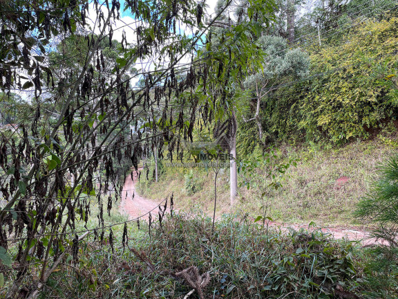 Imagem Terreno à Venda, 1 m² em Parque Aquarela - Campos Do Jordão Imagem Terreno à Venda, 1 m² em Parque Aquarela - Campos Do Jordão