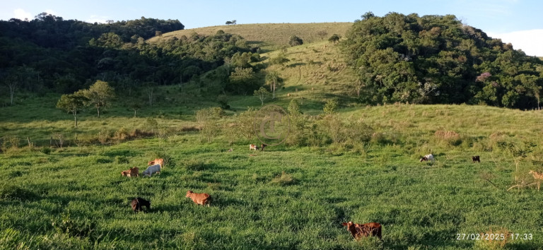 Imagem Fazenda à Venda, 1.010.000 m² em Jardim São Dimas - São José Dos Campos Imagem Fazenda à Venda, 1.010.000 m² em Jardim São Dimas - São José Dos Campos