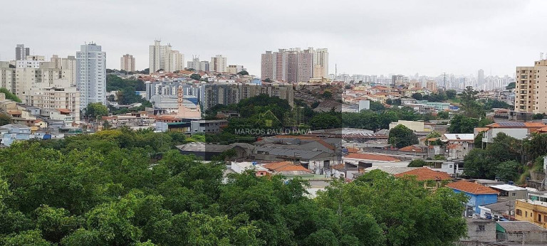 Imagem Apartamento com 2 Quartos à Venda, 46 m² em Vila Pereira Cerca - São Paulo Imagem Apartamento com 2 Quartos à Venda, 46 m² em Vila Pereira Cerca - São Paulo