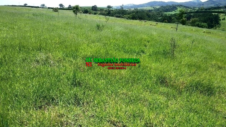 Chácara à Venda, 490.000 m² em Piedade - Caçapava
