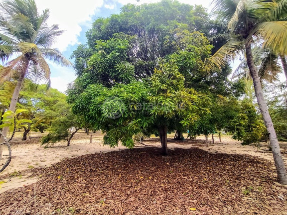 Imagem Fazenda à Venda, 6.400 m² em Pium - Nísia Floresta Imagem Fazenda à Venda, 6.400 m² em Pium - Nísia Floresta