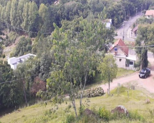 Imagem Imóvel à Venda, 969 m² em Br116 - Nova Petrópolis