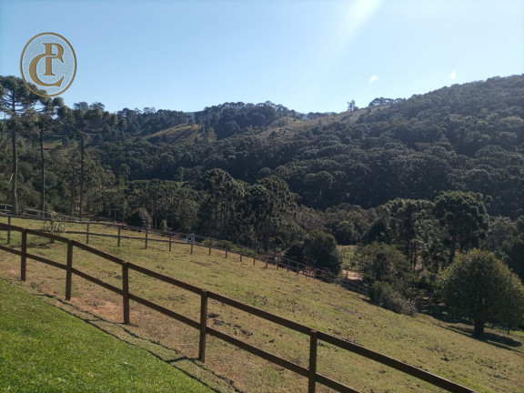 Chácara com 3 Quartos à Venda, 220 m² em Centro - Sapucaí-mirim