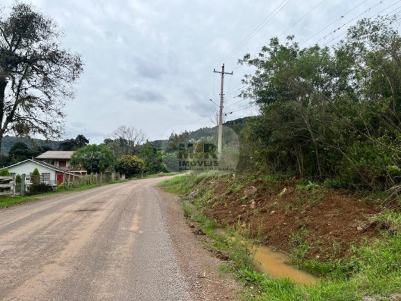 Imagem Imóvel com 2 Quartos à Venda, 70 m² em Linha Brasil - Nova Petrópolis