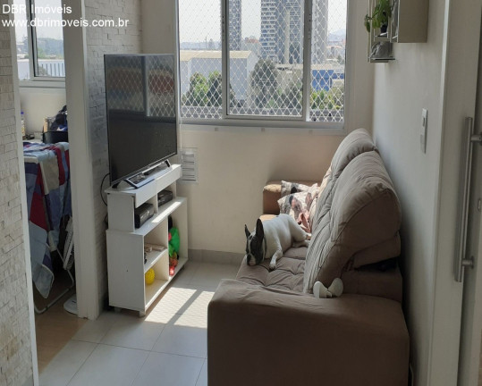 Imagem Apartamento com 2 Quartos à Venda, 35 m² em Vila Leopoldina - São Paulo Imagem Apartamento com 2 Quartos à Venda, 35 m² em Vila Leopoldina - São Paulo