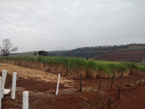 Imagem Imóvel à Venda, em Rural - Batatais Imagem Imóvel à Venda, em Rural - Batatais