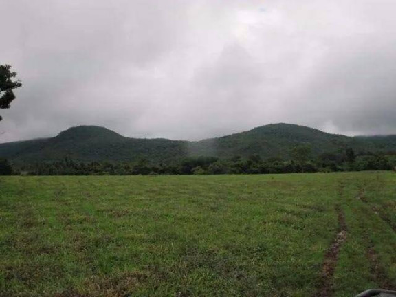 Imagem Chácara à Venda, 1 m² em Setor Central - Peixe