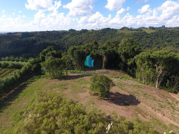Imagem Terreno à Venda, 20.000 m² em Linha Palmeiro - Pinto Bandeira Imagem Terreno à Venda, 20.000 m² em Linha Palmeiro - Pinto Bandeira