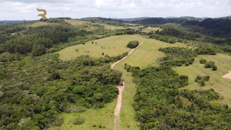 Imagem Chácara à Venda, 2.000 m² em Fiuza - Viamão Imagem Chácara à Venda, 2.000 m² em Fiuza - Viamão