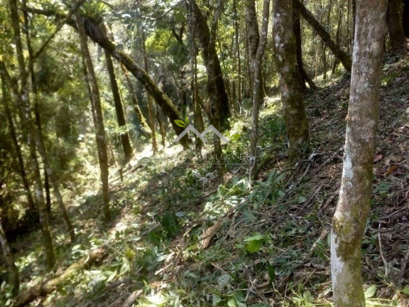 Imagem Terreno à Venda, 1 m² em Cidade Do Sol Ii - Campos Do Jordão Imagem Terreno à Venda, 1 m² em Cidade Do Sol Ii - Campos Do Jordão