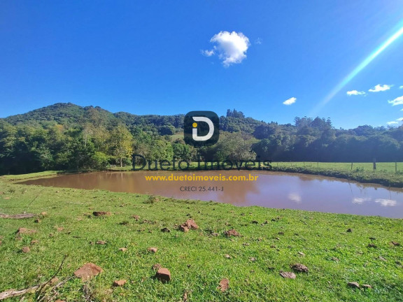 Imagem Chácara com 3 Quartos à Venda,  em São Pedro Do Sul
