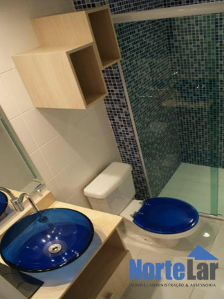 Imagem Apartamento com 3 Quartos à Venda, 63 m² em Vila Amélia - São Paulo