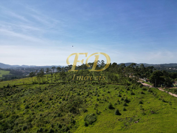Imagem Imóvel Comercial à Venda, 380.000 m² em Terra Preta - Mairiporã
