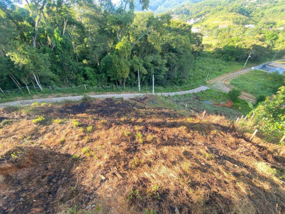 Imagem Chácara com 3 Quartos à Venda, 1.000 m² em Nazaré Paulista