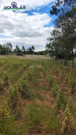 Imagem Terreno à Venda, 2.625 m² em Viamão