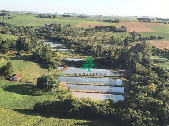 Imagem Chácara à Venda, 27.456 m² em Zona Rural - São Miguel Do Iguaçu Imagem Chácara à Venda, 27.456 m² em Zona Rural - São Miguel Do Iguaçu