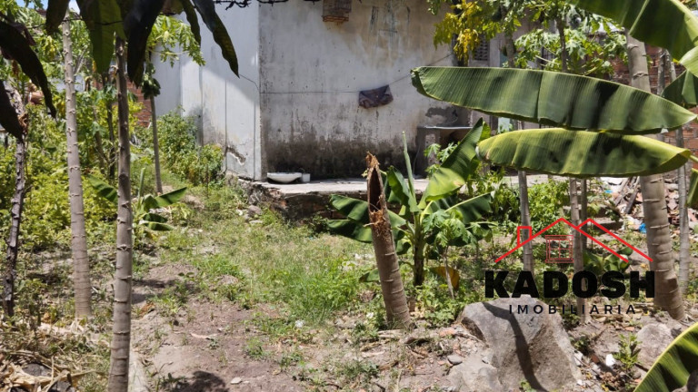 Imagem Terreno à Venda, 200 m² em Muchila - Feira De Santana Imagem Terreno à Venda, 200 m² em Muchila - Feira De Santana