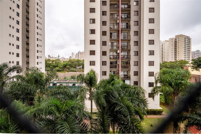 Imagem Apartamento com 3 Quartos à Venda, 93 m² em Barra Funda - São Paulo
