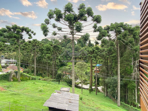 Imagem Apartamento com 3 Quartos à Venda, 116 m² em Morro Do Elefante - Campos Do Jordão Imagem Apartamento com 3 Quartos à Venda, 116 m² em Morro Do Elefante - Campos Do Jordão