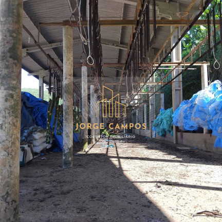 Imagem Fazenda à Venda, 125 m² em Zona Rural - Miracatu Imagem Fazenda à Venda, 125 m² em Zona Rural - Miracatu