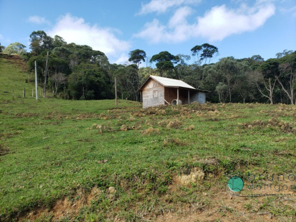 Imagem Imóvel à Venda, 120.000 m² em Zona Rural - Alfredo Wagner Imagem Imóvel à Venda, 120.000 m² em Zona Rural - Alfredo Wagner