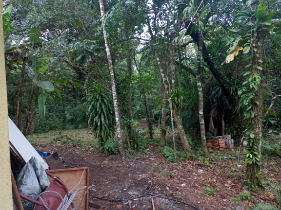 Imagem Chácara com 1 Quarto à Venda, 90 m² em Agenor De Campos - Mongaguá Imagem Chácara com 1 Quarto à Venda, 90 m² em Agenor De Campos - Mongaguá