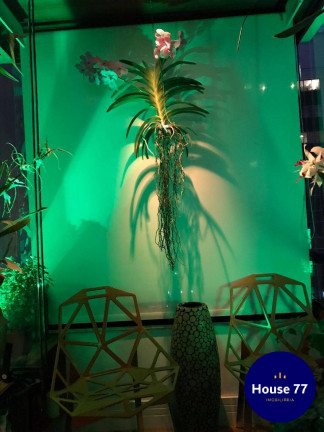 Imagem Apartamento com 1 Quarto à Venda, 44 m² em Moema - São Paulo Imagem Apartamento com 1 Quarto à Venda, 44 m² em Moema - São Paulo