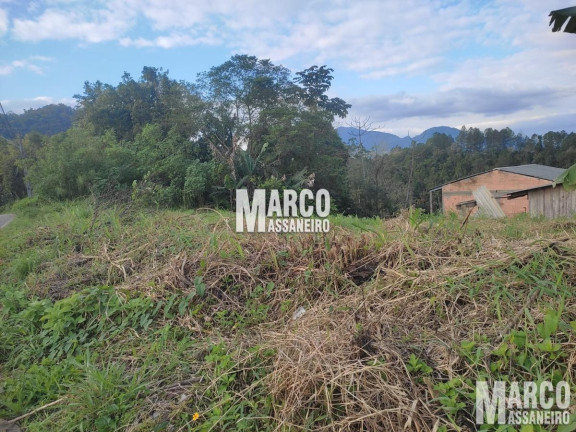 Imagem Terreno à Venda, 1 m² em Chico De Paula - Jaraguá Do Sul Imagem Terreno à Venda, 1 m² em Chico De Paula - Jaraguá Do Sul