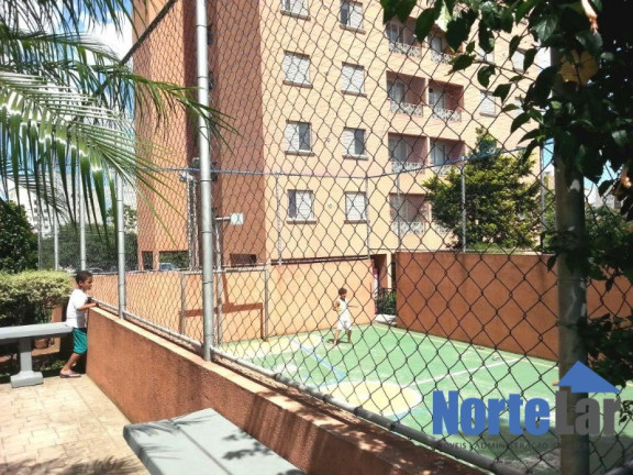 Imagem Apartamento com 2 Quartos à Venda, 55 m² em Vila Pita - São Paulo