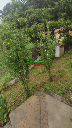 Imagem Chácara com 2 Quartos à Venda, 1.700 m² em São Francisco Xavier - São José Dos Campos