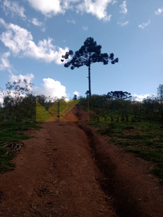 Imagem Fazenda à Venda, 59.000 m² em Alto Cedros - Rio Dos Cedros