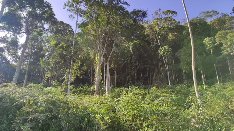 Imagem Terreno à Venda, 2.125 m² em Albuquerque - Teresópolis Imagem Terreno à Venda, 2.125 m² em Albuquerque - Teresópolis