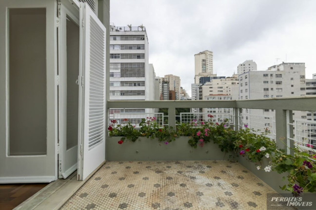 Imagem Apartamento com 3 Quartos à Venda, 239 m² em Higienópolis - São Paulo Imagem Apartamento com 3 Quartos à Venda, 239 m² em Higienópolis - São Paulo